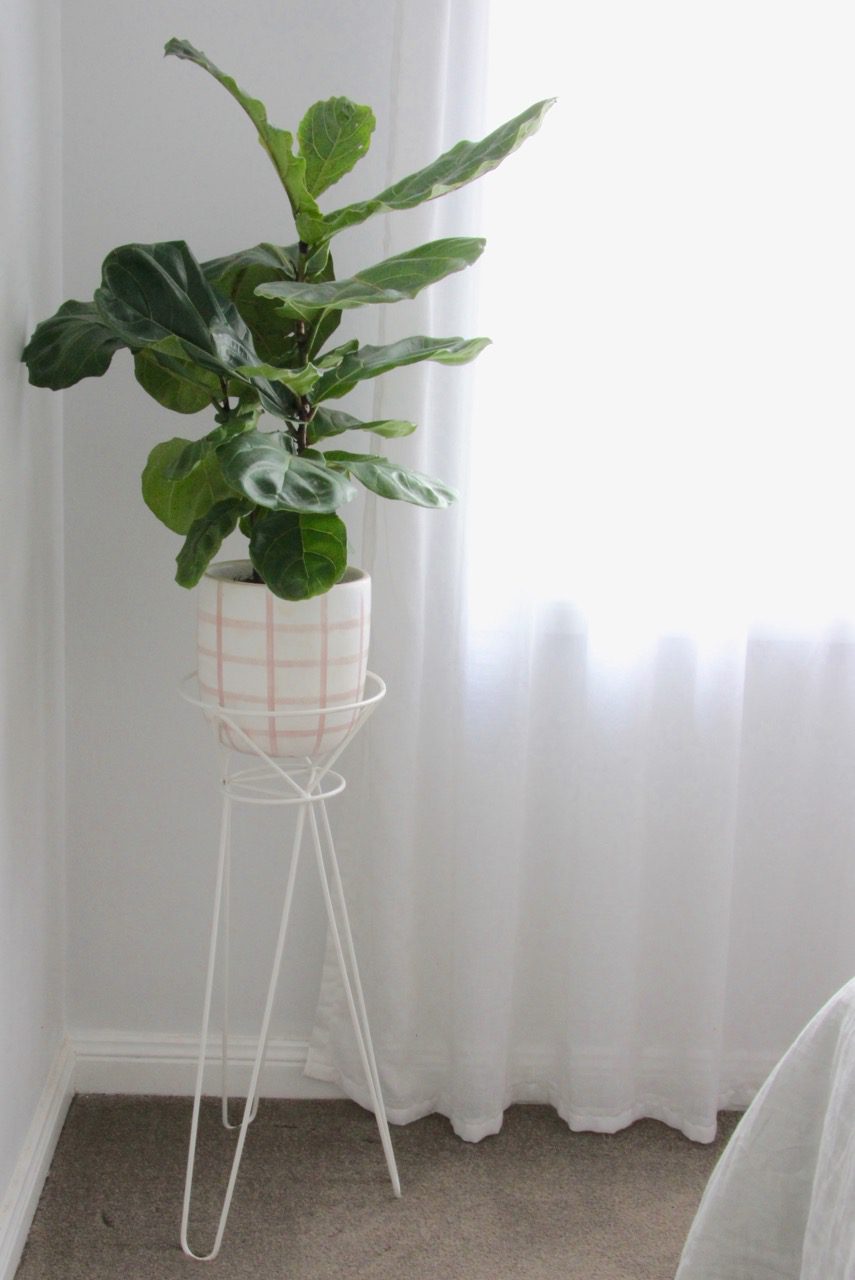 Using plants in property styling