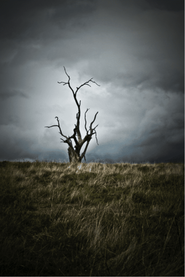 Choosing artwork for home