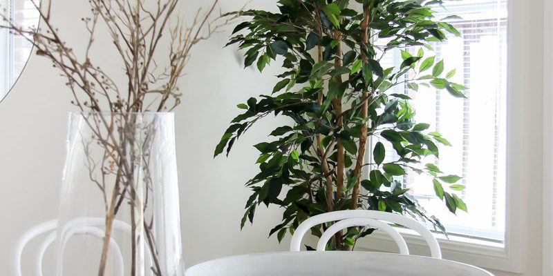 Sydney property styling